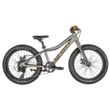 Bicicleta Junior Scott Roxter 20 Argintiu 2025