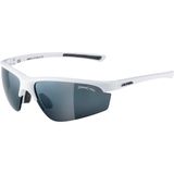 Ochelari Ciclism Alpina TRI-EFFECT 2.0 white CM/CC/CMO