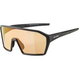 Ochelari Ciclism Alpina RAM HVLM+ black mat