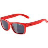 Ochelari Ciclism MITZO red black Cat. 3