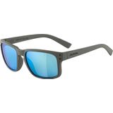 Ochelari Ciclism Alpina KOSMIC moon-grey mat