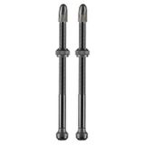 Ventil Schwalbe Tubeless (Set) 100mm
