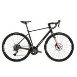 Cursiera Kross Alta 2.0 2026