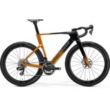 Cursiera Merida Reacto 10K 2027