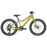 Bicicleta Junior Scott Roxter 20-Verde
