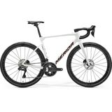Cursiera Merida Scultura 8000 2025