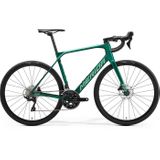 Cursiera Merida Scultura Endurance 4000 II2 2024 Verde