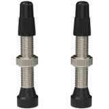 Valva Presta WTB 34mm Nichel Argintiu 2buc
