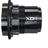 Caseta Zipp COGNITION NSW XDR