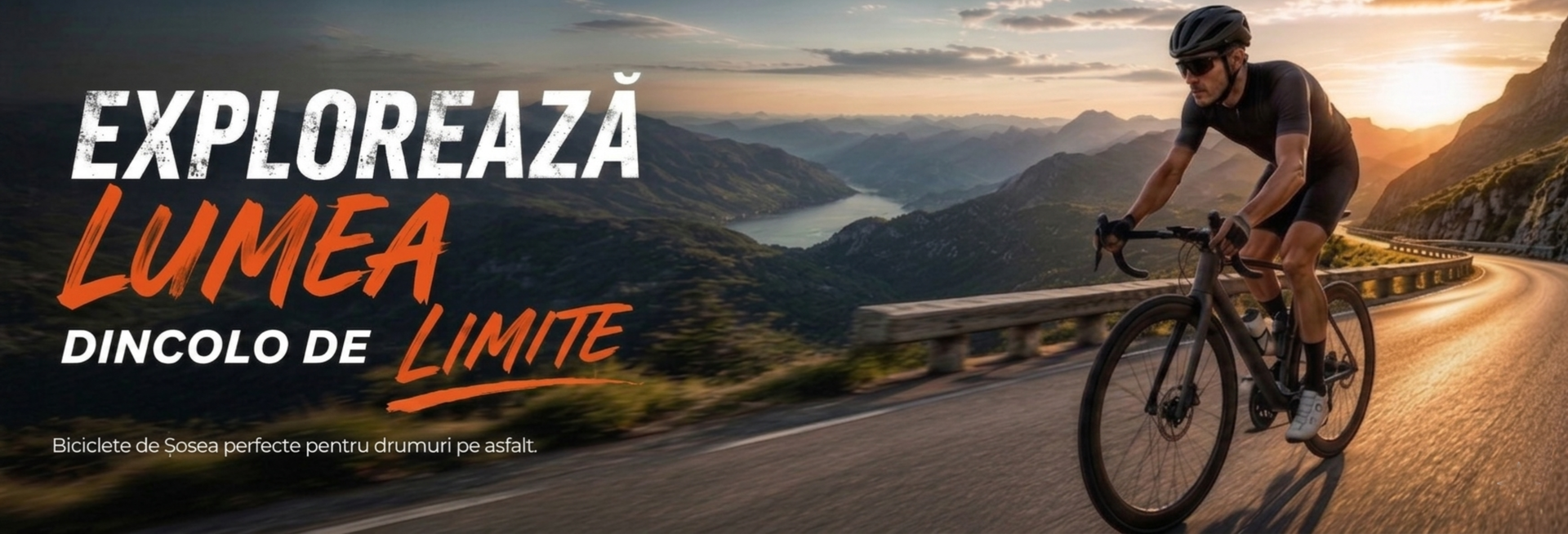 Biciclete Sosea