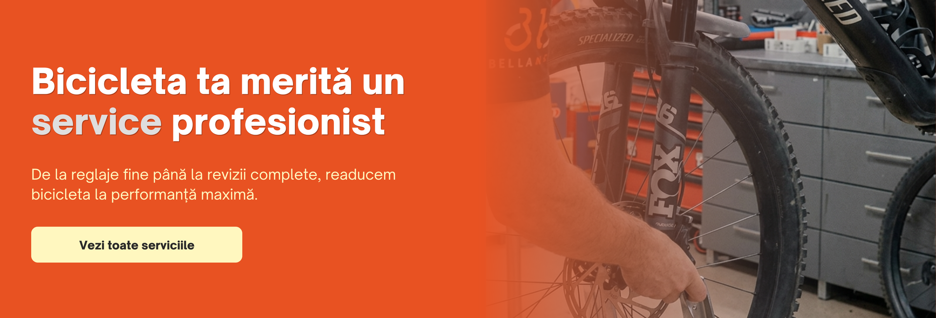 Service Biciclete