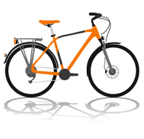 Biciclete Oras/Trekking