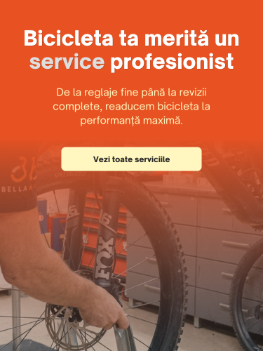 Service Biciclete