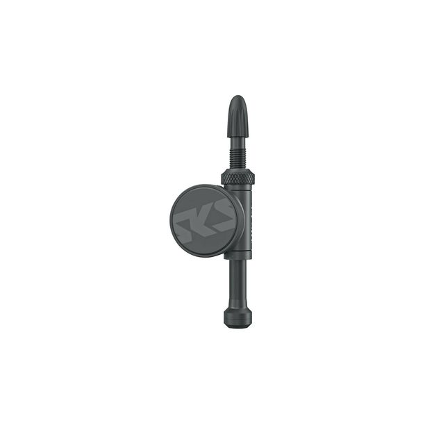 Senzor Presiune Aer SKS Airspy Tubeless 60mm (2 buc.)