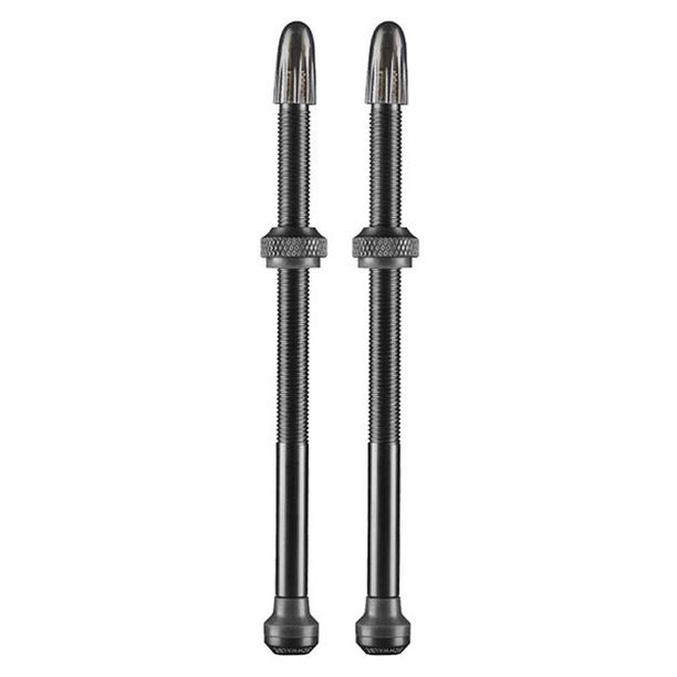 Ventil Schwalbe Tubeless (Set) 100mm