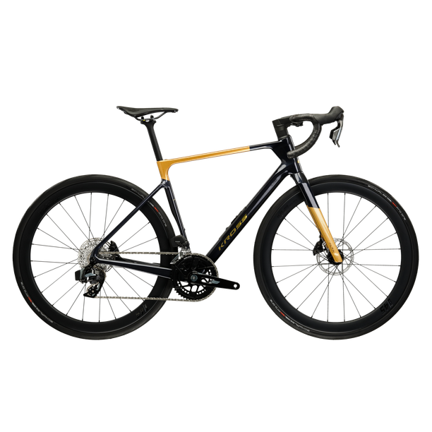 Cursiera Endurance Kross Alta RS R200 28" 2027