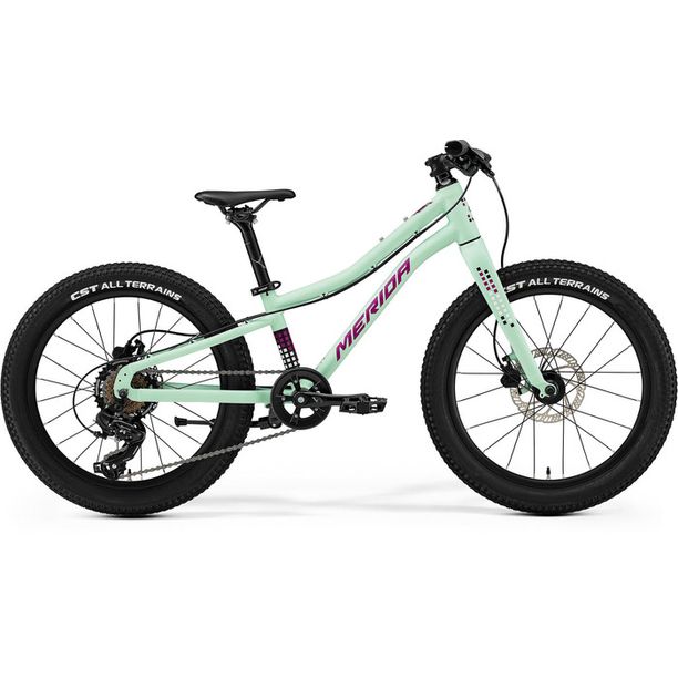 Bicicleta Junior Merida Matts J20+ 20 Verde-Violet 2025